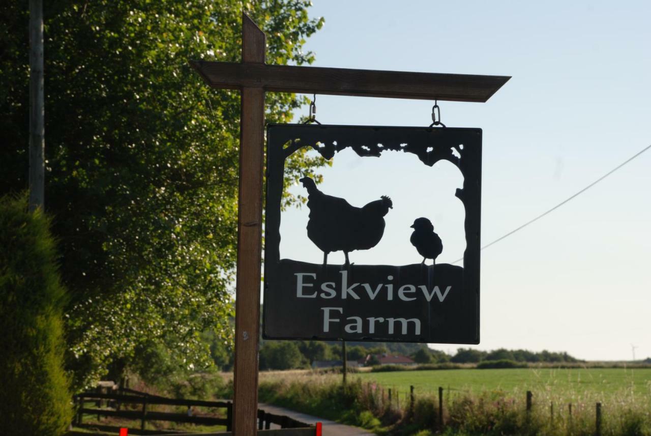 Eskview Farm Bed & Breakfast Montrose Ngoại thất bức ảnh
